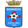 Blooming vs Libertad Gran Mamore FC Stats