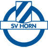 Estadísticas de SV Horn contra SW Bregenz | Pronostico