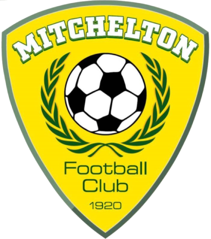 Mitchelton team logo