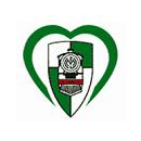 Ferroviario team logo