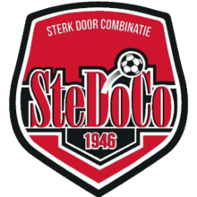 SteDoCo team logo