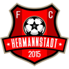 AFC Hermannstadt Logo