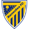 Barnechea Logo