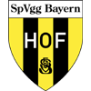 Bayern Hof vs SV Donaustauf Stats