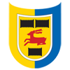 Cambuur Leeuwarden Logo