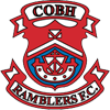 Cobh Ramblers vs Treaty United FC Predikce, H2H a statistiky