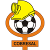 Cobresal Logo