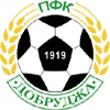 FK Bdin Vidin vs Dobrudzha 1919 Dobrich Stats