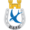 Dungannon Swifts Logo