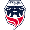 Fortaleza FC Logo