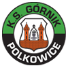 Gornik Polkowice vs GKS Pniowek 74 Pawlowice Stats