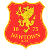 Newtown Logo