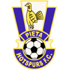 Pieta Hotspurs vs Marsa FC Stats