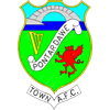 Pontardawe Town Logo