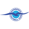 Sorrento Logo