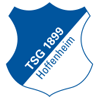 TSG Hoffenheim vs Darmstadt Stats