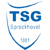 Estadísticas de TSG Sprockhovel contra Sportfreunde Siegen | Pronostico
