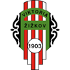 Viktoria Zizkov Logo