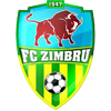 Zimbru Chisinau Logo
